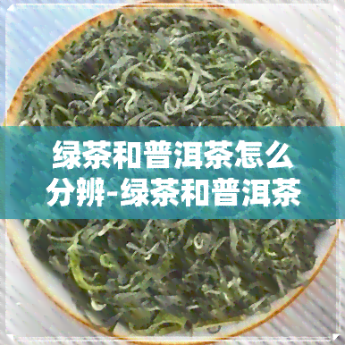 绿茶和普洱茶怎么分辨-绿茶和普洱茶怎么分辨真假