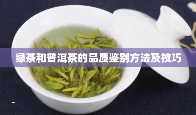 绿茶和普洱茶的品质鉴别方法及技巧