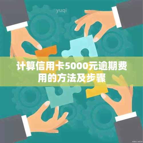 计算信用卡5000元逾期费用的方法及步骤