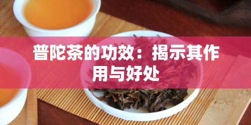 普陀茶的功效：揭示其作用与好处