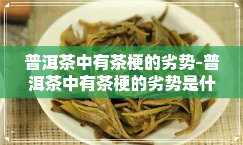 普洱茶中有茶梗的劣势-普洱茶中有茶梗的劣势是什么