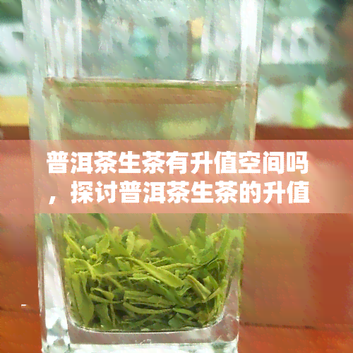 普洱茶生茶有升值空间吗，探讨普洱茶生茶的升值潜力：值得投资吗？