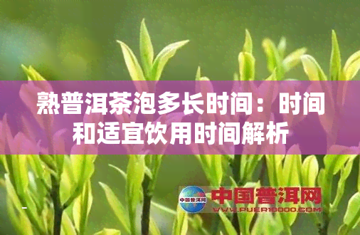 熟普洱茶泡多长时间：时间和适宜饮用时间解析