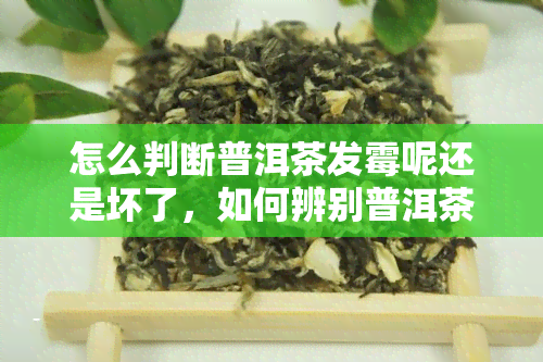 怎么判断普洱茶发霉呢还是坏了，如何辨别普洱茶是发霉还是变质？