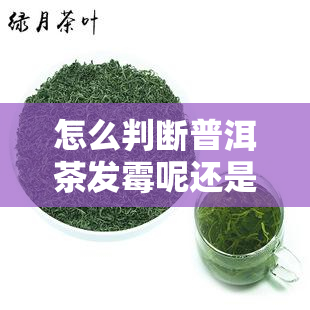 怎么判断普洱茶发霉呢还是霉菌，如何区分普洱茶是发霉还是霉菌？