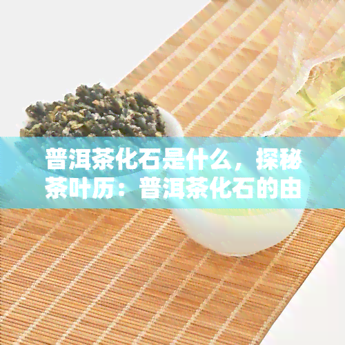 普洱茶化石是什么，探秘茶叶历：普洱茶化石的由来与特点