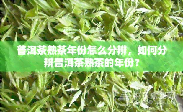 普洱茶熟茶年份怎么分辨，如何分辨普洱茶熟茶的年份？