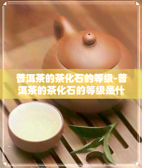 普洱茶的茶化石的等级-普洱茶的茶化石的等级是什么