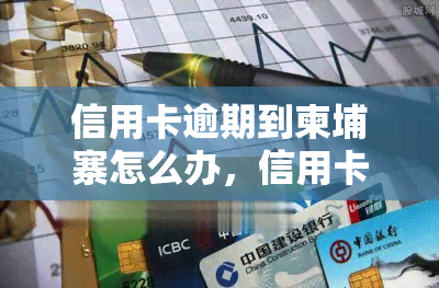 信用卡逾期到柬埔寨怎么办，信用卡逾期后如何在柬埔寨解决？