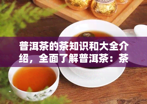 普洱茶的茶知识和大全介绍，全面了解普洱茶：茶知识与大全详解