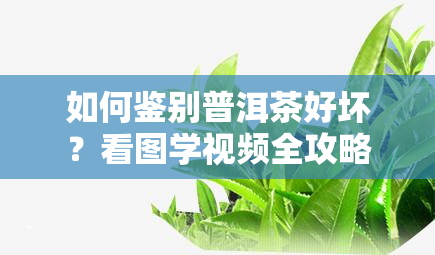 如何鉴别普洱茶好坏？看图学视频全攻略