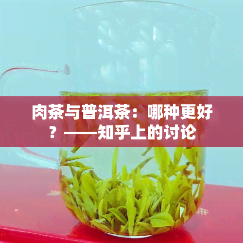 肉茶与普洱茶：哪种更好？——知乎上的讨论