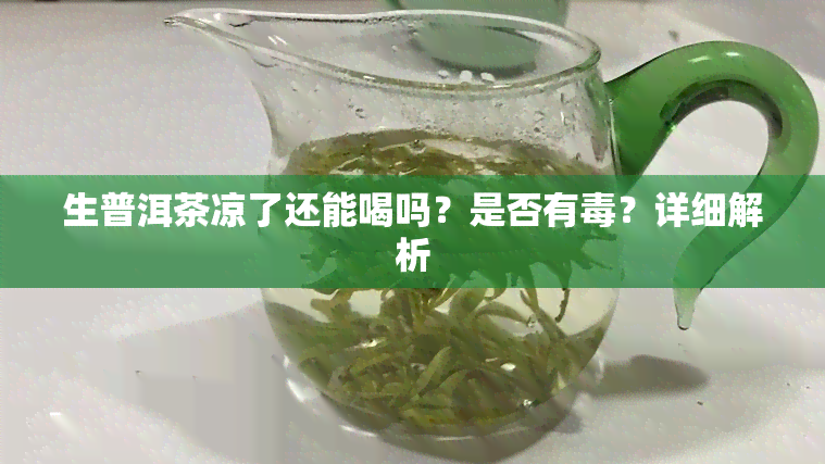 生普洱茶凉了还能喝吗？是否有？详细解析