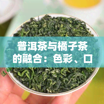 普洱茶与橘子茶的融合：色彩、口感全解析