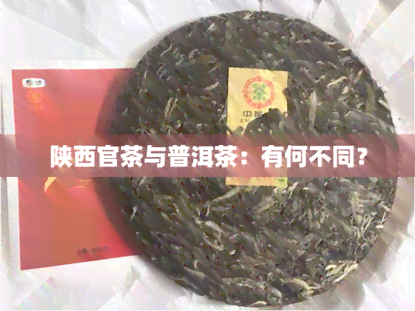 陕西官茶与普洱茶：有何不同？