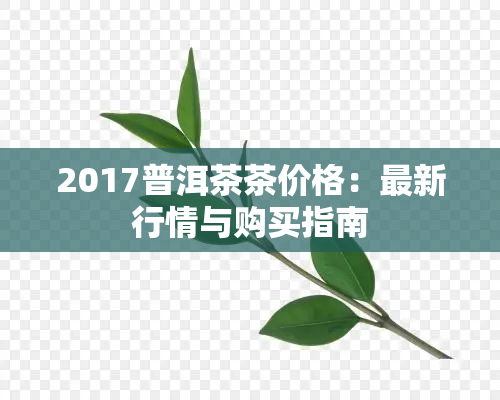 2017普洱茶茶价格：最新行情与购买指南