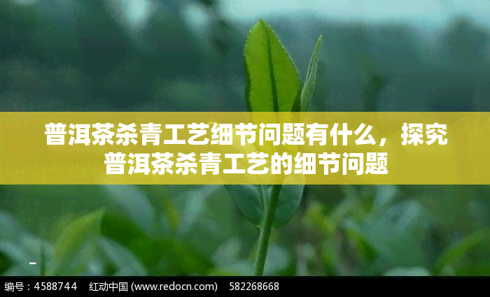 普洱茶杀青工艺细节问题有什么，探究普洱茶杀青工艺的细节问题