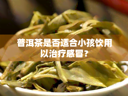 普洱茶是否适合小孩饮用以治疗感冒？