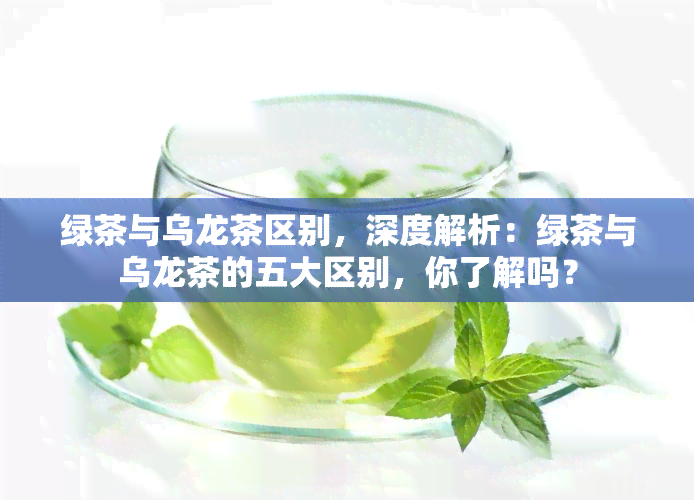 绿茶与乌龙茶区别，深度解析：绿茶与乌龙茶的五大区别，你了解吗？