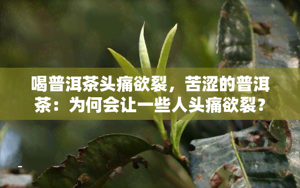 喝普洱茶头痛欲裂，苦涩的普洱茶：为何会让一些人头痛欲裂？