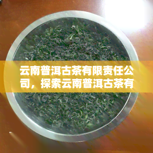 云南普洱古茶有限责任公司，探索云南普洱古茶有限责任公司的历文化与产品特色