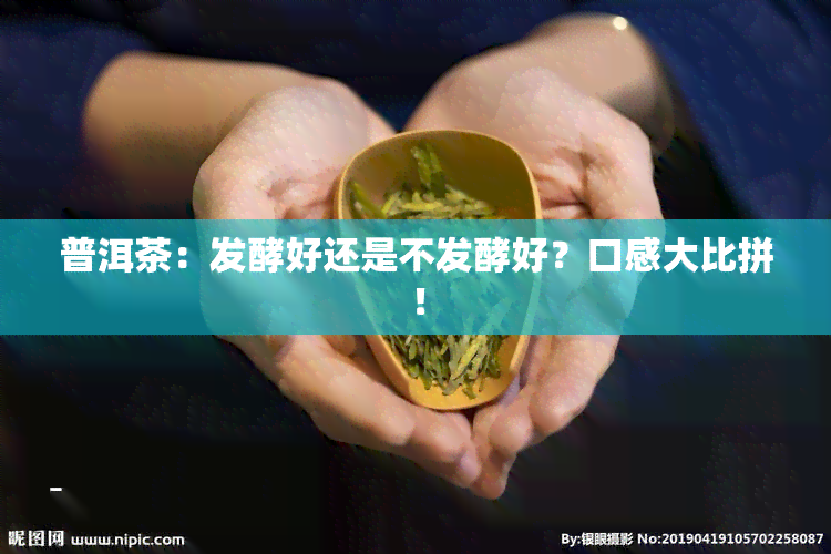 普洱茶：发酵好还是不发酵好？口感大比拼！