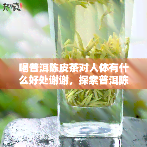 喝普洱陈皮茶对人体有什么好处谢谢，探索普洱陈皮茶的健益处：一份全面的介绍