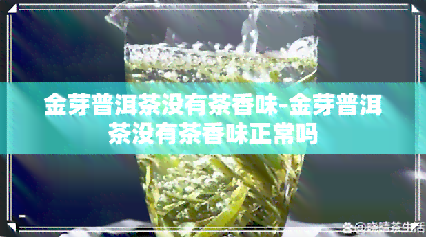 金芽普洱茶没有茶香味-金芽普洱茶没有茶香味正常吗