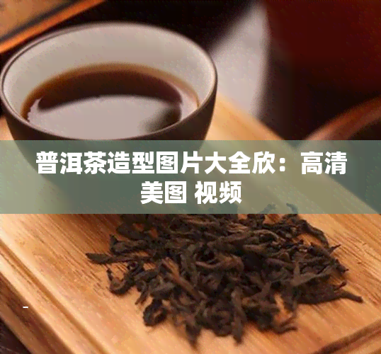 普洱茶造型图片大全欣：高清美图 视频