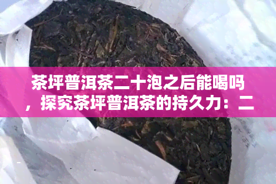 茶坪普洱茶二十泡之后能喝吗，探究茶坪普洱茶的持久力：二十泡后是否还能享用？