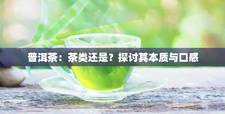 普洱茶：茶类还是？探讨其本质与口感