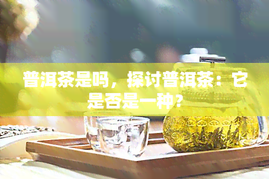 普洱茶是吗，探讨普洱茶：它是否是一种？