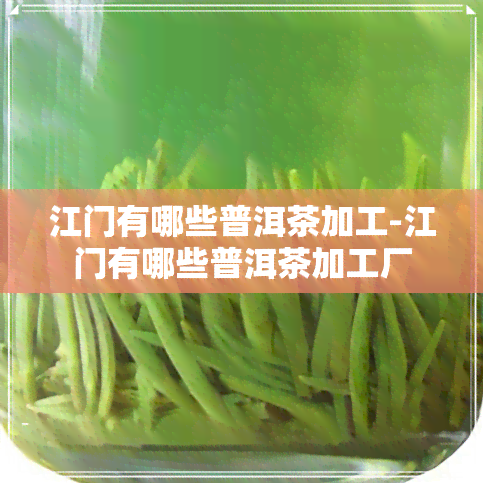 江门有哪些普洱茶加工-江门有哪些普洱茶加工厂