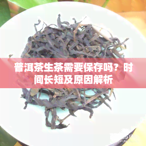 普洱茶生茶需要保存吗？时间长短及原因解析