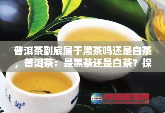 普洱茶到底属于黑茶吗还是白茶，普洱茶：是黑茶还是白茶？探讨其分类归属