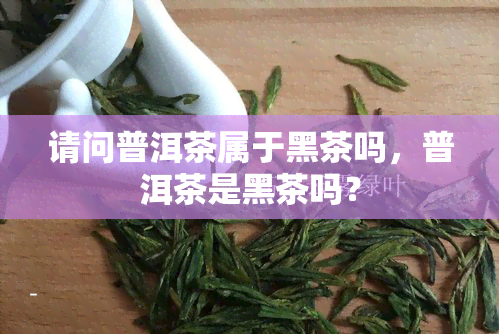 请问普洱茶属于黑茶吗，普洱茶是黑茶吗？