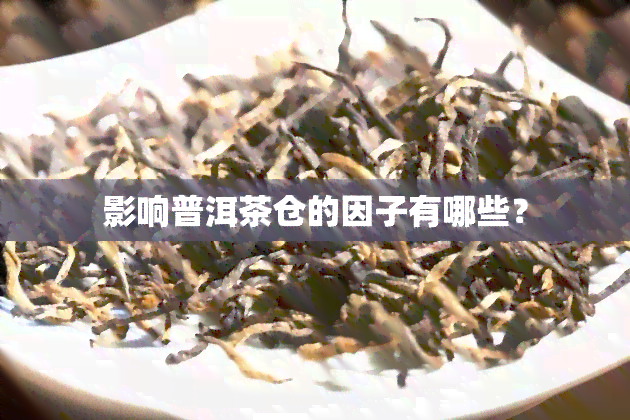 影响普洱茶仓的因子有哪些？