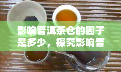 影响普洱茶仓的因子是多少，探究影响普洱茶仓的关键因素