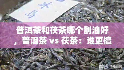 普洱茶和茯茶哪个刮油好，普洱茶 vs 茯茶：谁更擅长刮油？