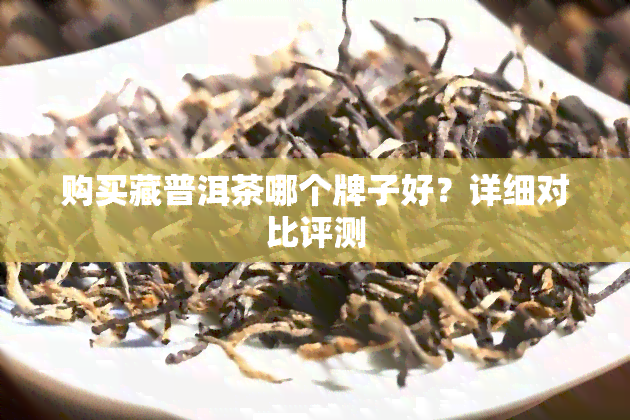 购买藏普洱茶哪个牌子好？详细对比评测