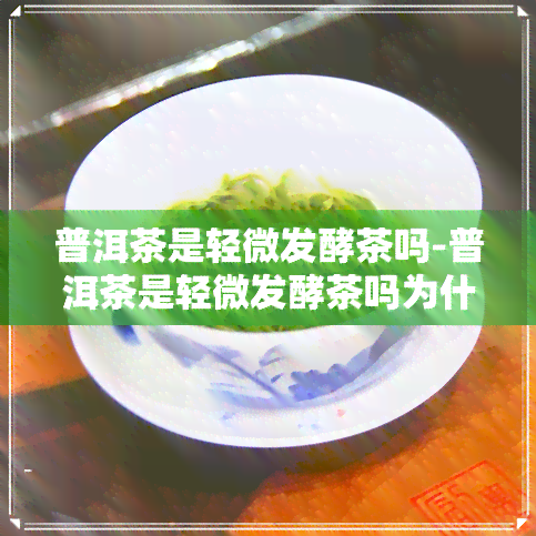 普洱茶是轻微发酵茶吗-普洱茶是轻微发酵茶吗为什么