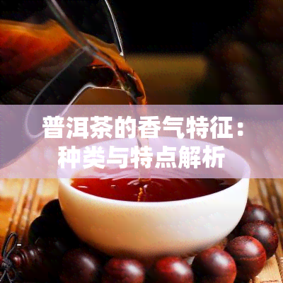 普洱茶的香气特征：种类与特点解析