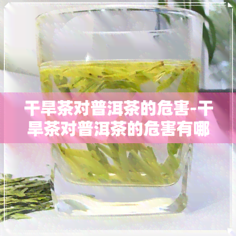 干旱茶对普洱茶的危害-干旱茶对普洱茶的危害有哪些