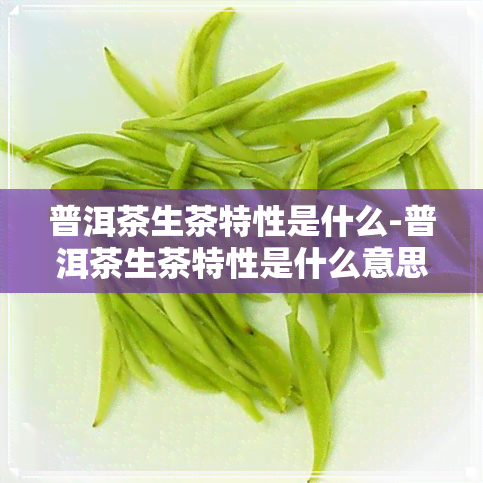 普洱茶生茶特性是什么-普洱茶生茶特性是什么意思