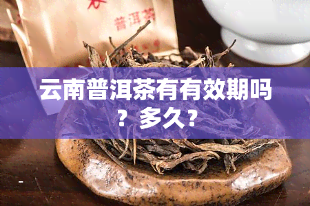 云南普洱茶有有效期吗？多久？