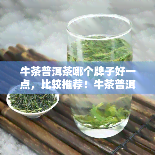 牛茶普洱茶哪个牌子好一点，比较推荐！牛茶普洱茶哪个牌子更好？