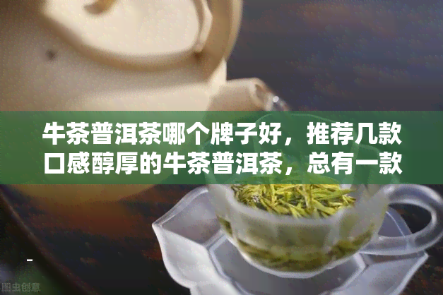 牛茶普洱茶哪个牌子好，推荐几款口感醇厚的牛茶普洱茶，总有一款适合你！