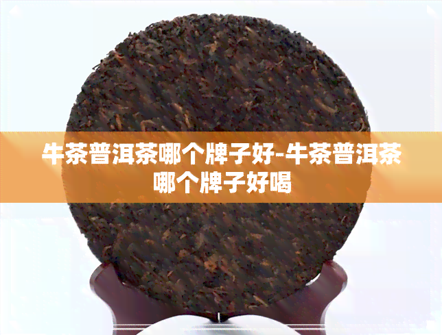 牛茶普洱茶哪个牌子好-牛茶普洱茶哪个牌子好喝