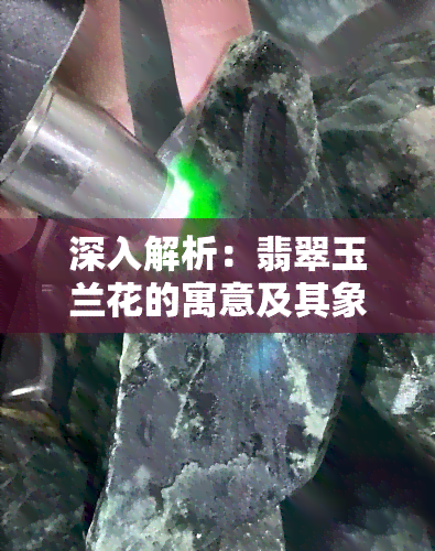 深入解析：翡翠玉兰花的寓意及其象征意义