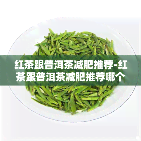 红茶跟普洱茶减肥推荐-红茶跟普洱茶减肥推荐哪个